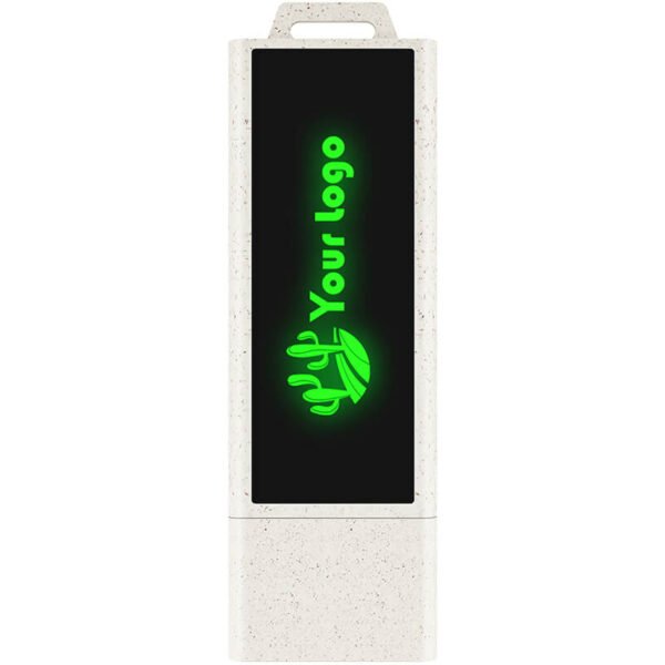 Eco-Friendly Light-Up USB Flash Drive